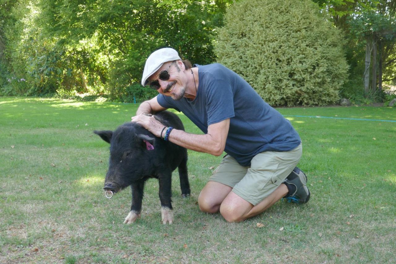 Karetu Downs Farm Stay Hawarden Esterno foto