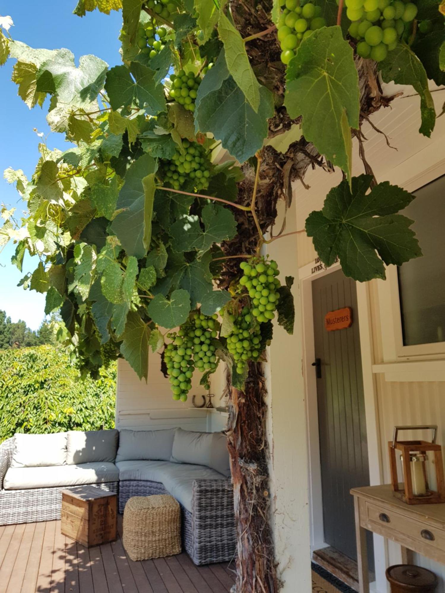 Karetu Downs Farm Stay Hawarden Esterno foto