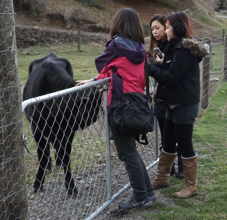 Karetu Downs Farm Stay Hawarden Esterno foto