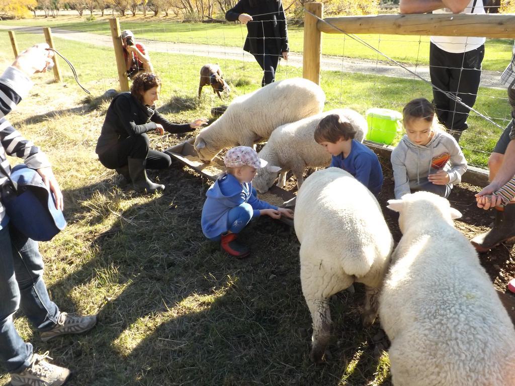 Karetu Downs Farm Stay Hawarden Esterno foto