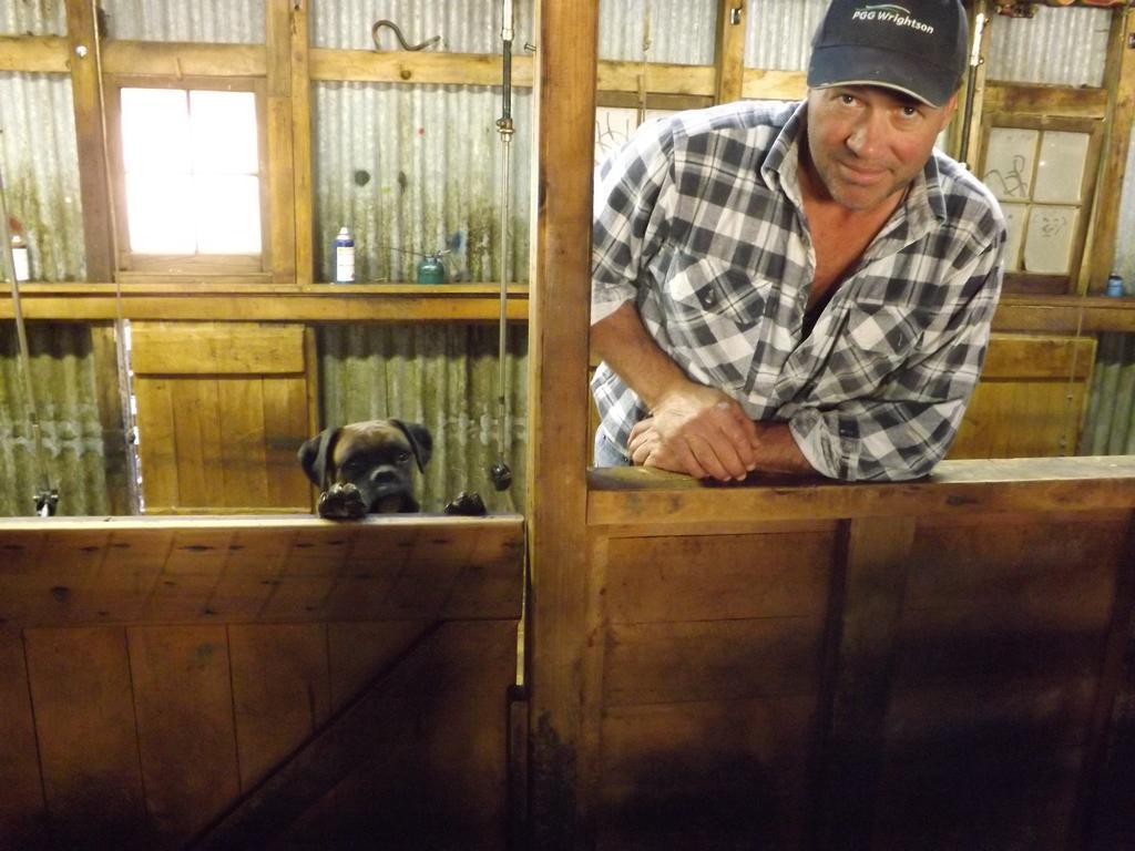 Karetu Downs Farm Stay Hawarden Esterno foto