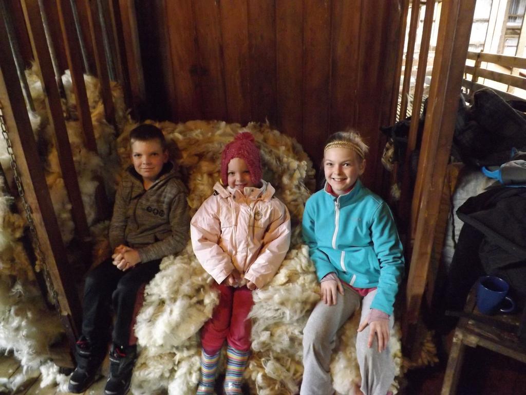 Karetu Downs Farm Stay Hawarden Esterno foto