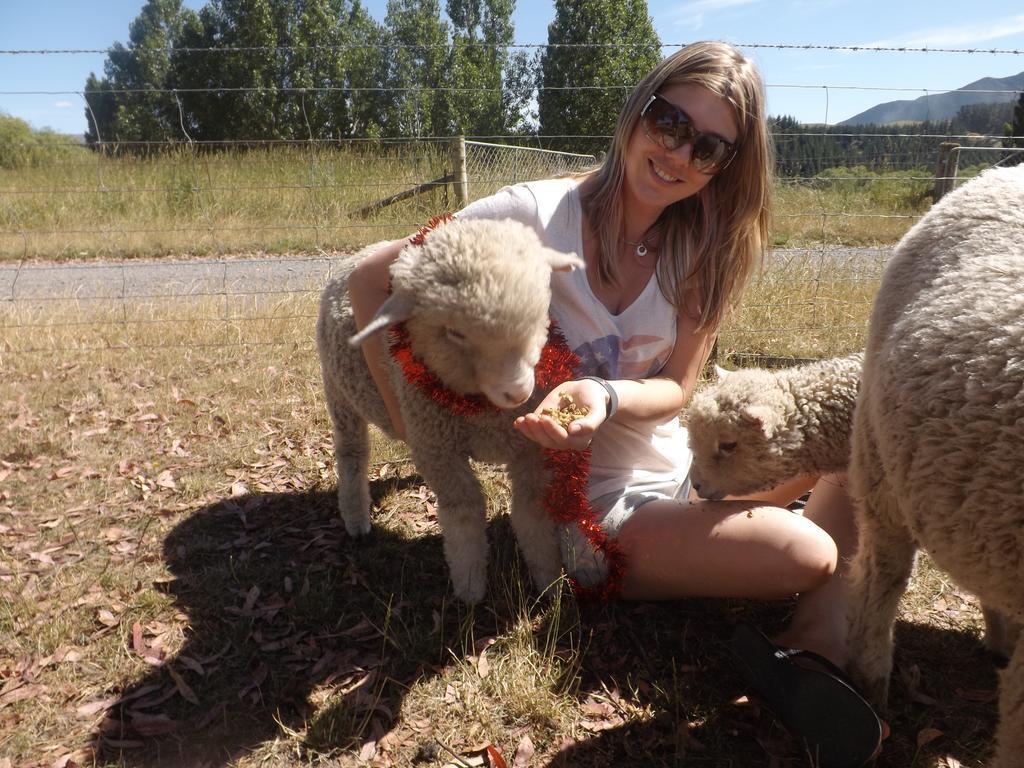 Karetu Downs Farm Stay Hawarden Esterno foto