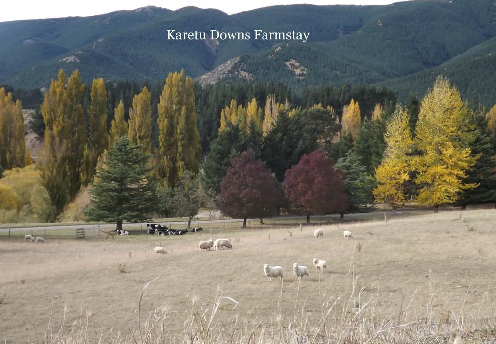 Karetu Downs Farm Stay Hawarden Esterno foto