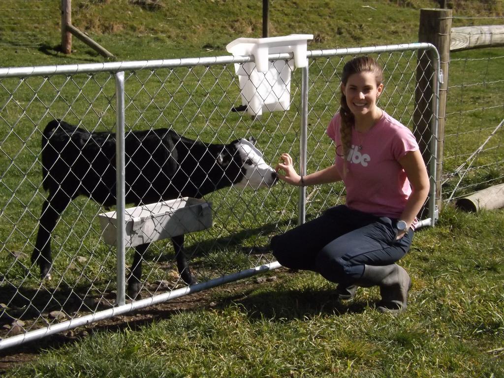 Karetu Downs Farm Stay Hawarden Esterno foto