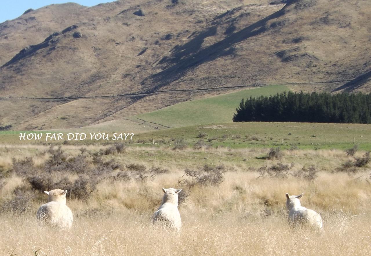 Karetu Downs Farm Stay Hawarden Esterno foto