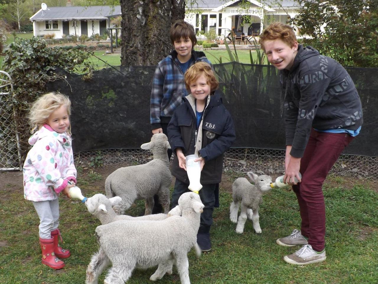 Karetu Downs Farm Stay Hawarden Esterno foto